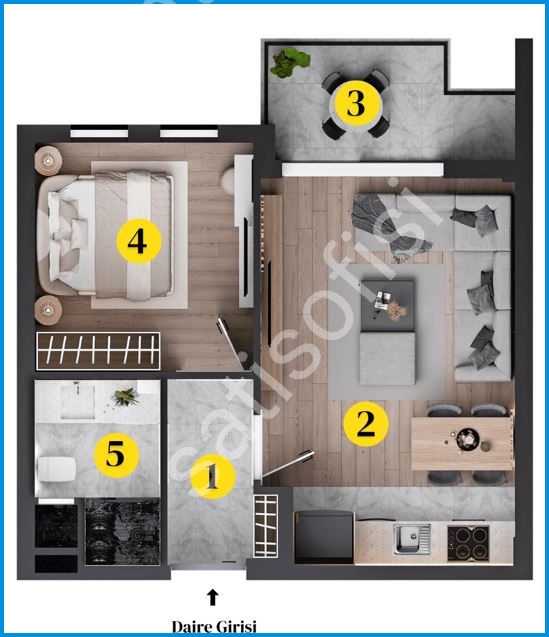 Viamar Daisy 6