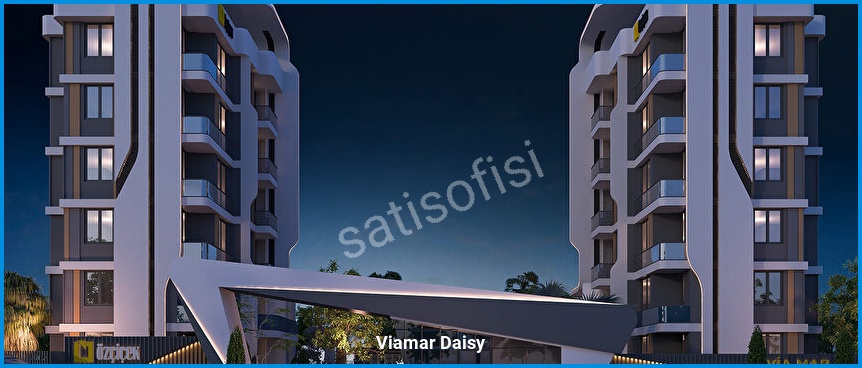 Viamar Daisy