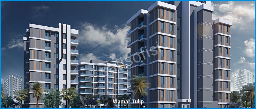 Viamar Tulip 2