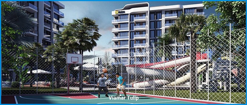 Viamar Tulip 4