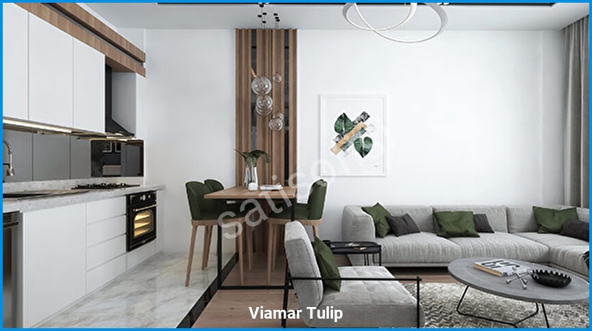 Viamar Tulip 5