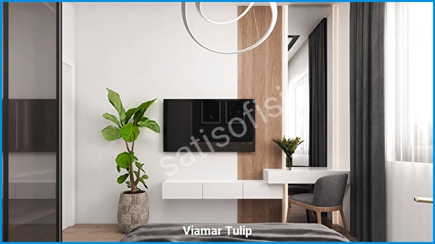 Viamar Tulip 6