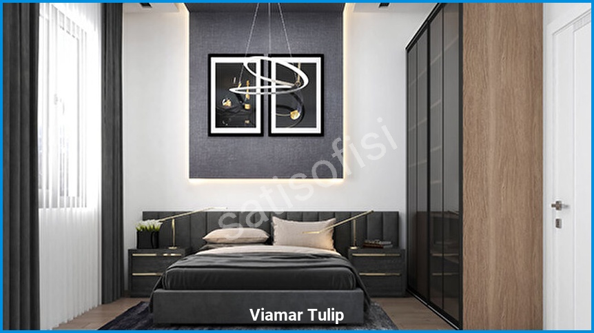 Viamar Tulip 7