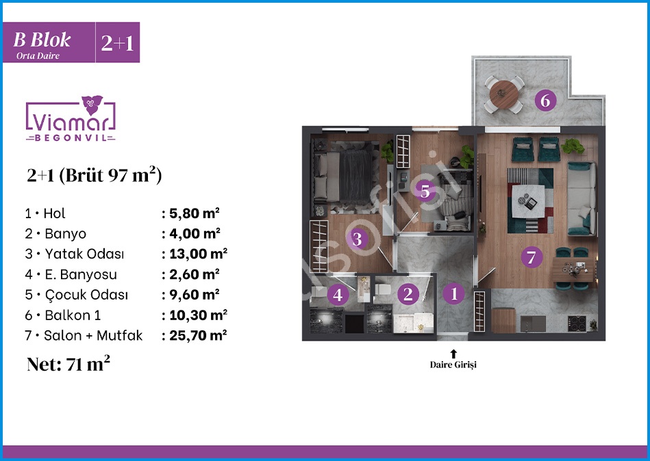 Viamar Begonvil 12