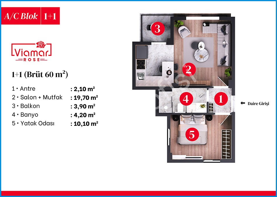Viamar Rose 9