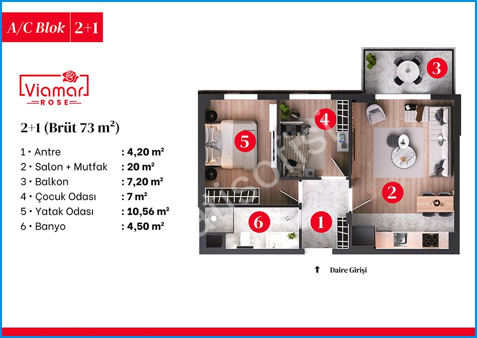 Viamar Rose 10