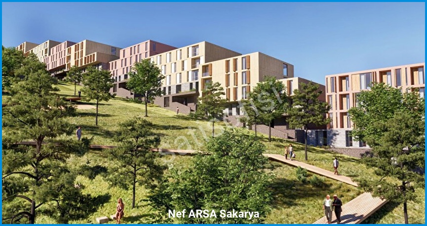 Nef ARSA Sakarya 2