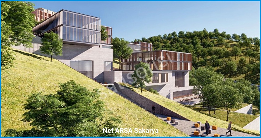 Nef ARSA Sakarya 3