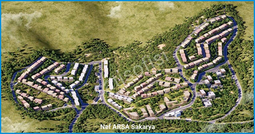 Nef ARSA Sakarya 5