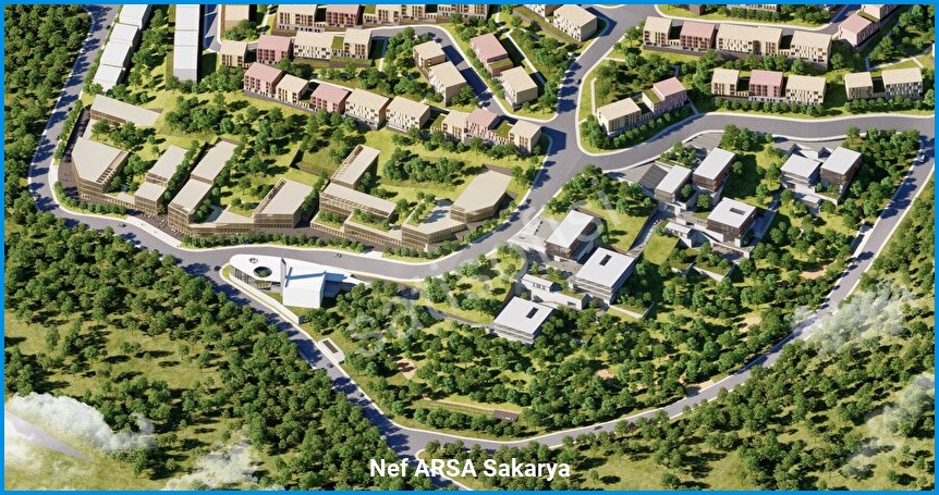 Nef ARSA Sakarya 6