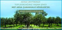 Nef ARSA Çanakkale Köseler