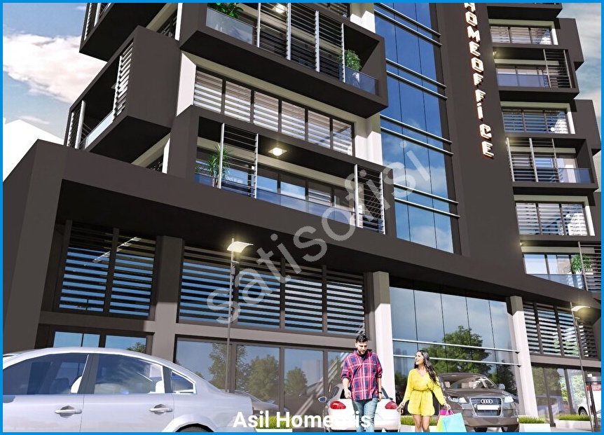 Asil Homeofis 4