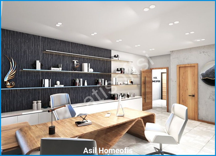 Asil Homeofis 6