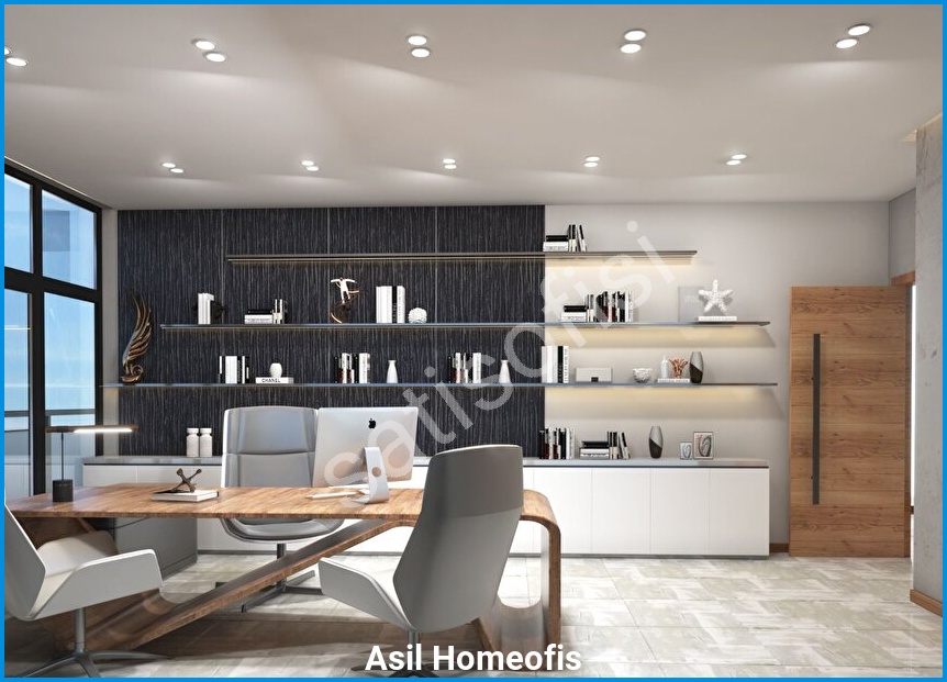 Asil Homeofis 7