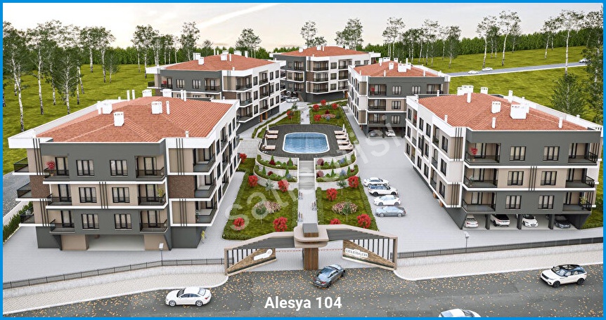 Alesya 104 2