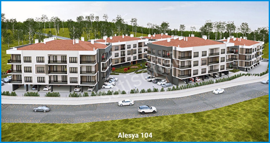 Alesya 104 3