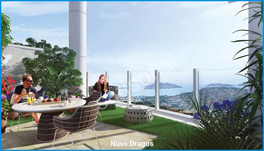 Nuvo Dragos 10