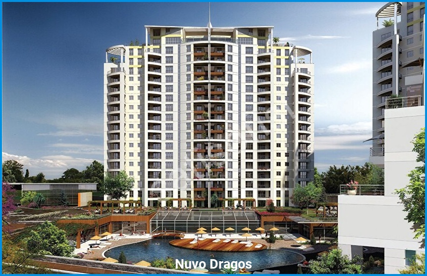 Nuvo Dragos 7