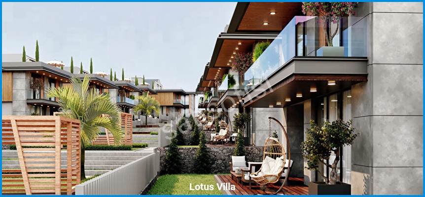 Lotus Villa 3