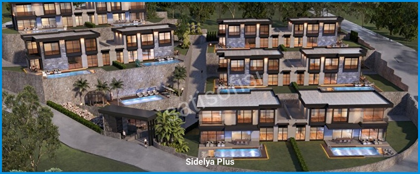 Sidelya Plus