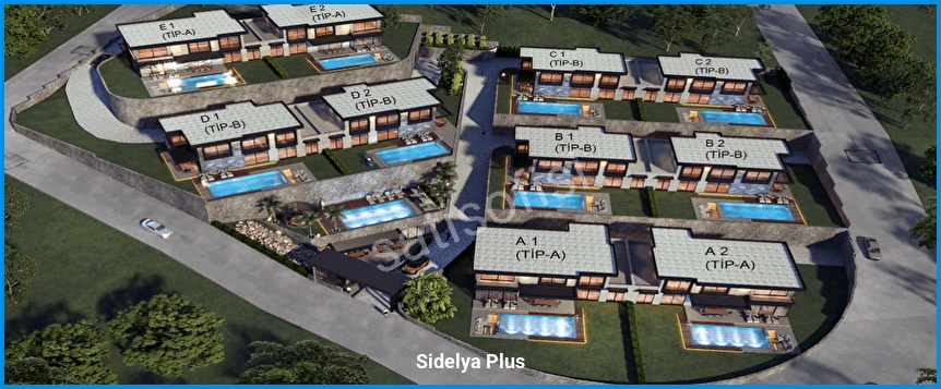 Sidelya Plus 2
