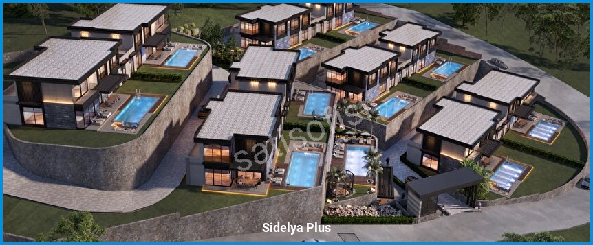 Sidelya Plus 6
