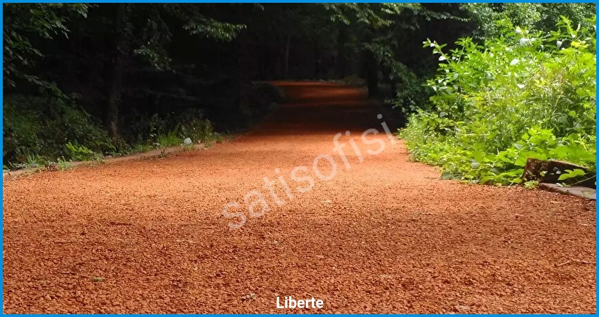Liberte 4