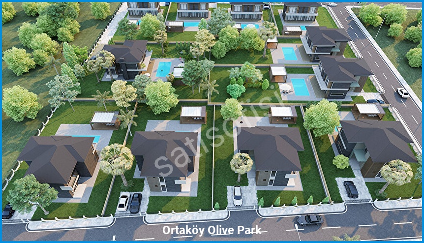 Ortaköy Olive Park 7