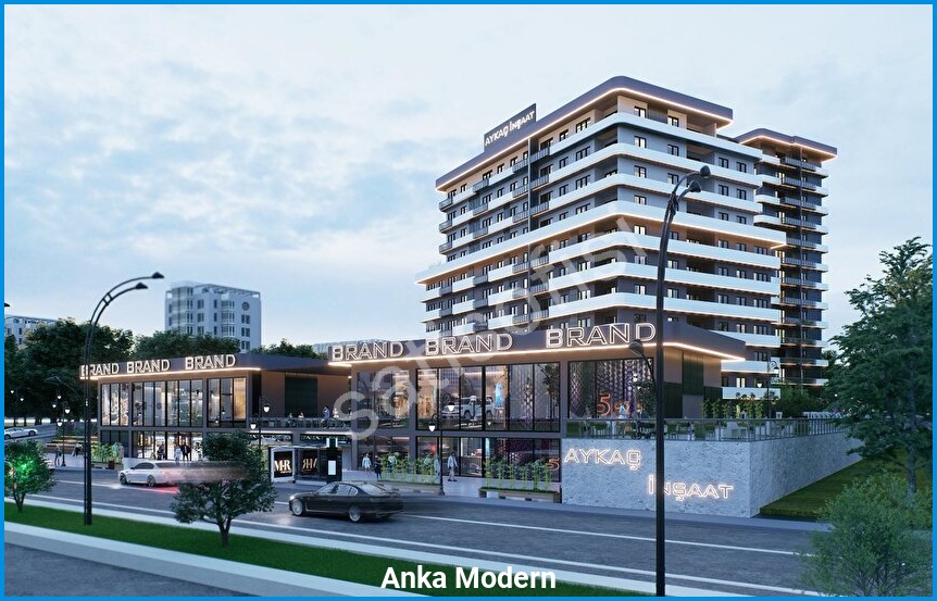 Anka Modern 11
