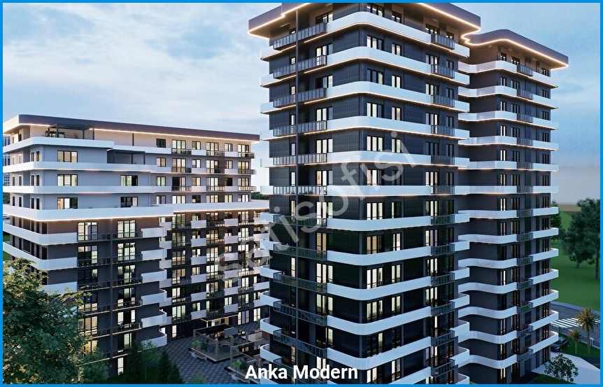 Anka Modern 8