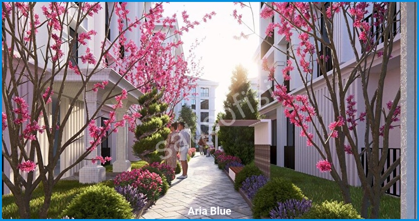 Aria Blue 4