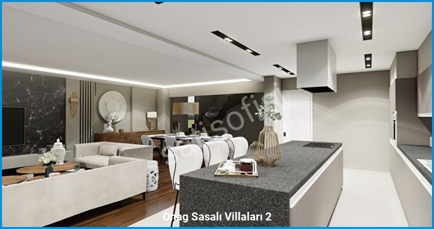 Onag Sasalı Villaları 2 görsel 7