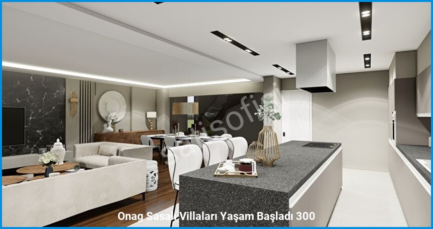 Onag Sasalı Villaları — görsel