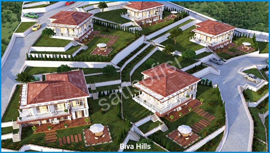 Biva Hills 6