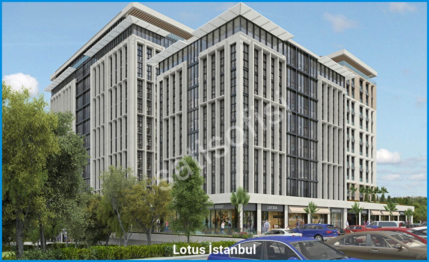Lotus İstanbul görsel 5