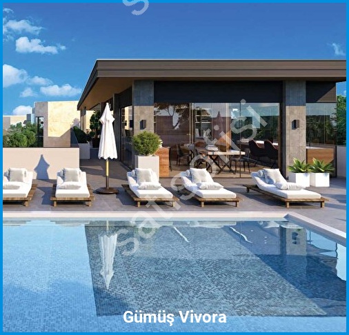 Gümüş Vivora - Proje Görseli 13