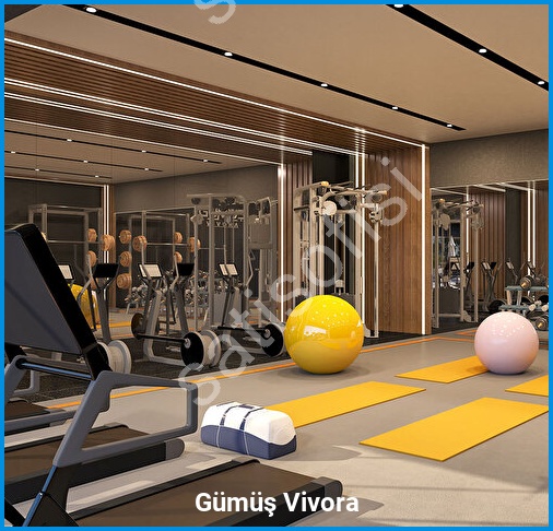 Gümüş Vivora - Proje Görseli 15