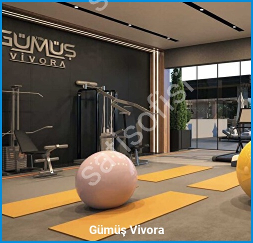 Gümüş Vivora - Proje Görseli 17