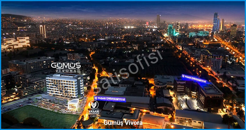 Gümüş Vivora - Proje Görseli 2