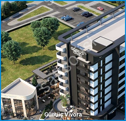 Gümüş Vivora - Proje Görseli 4