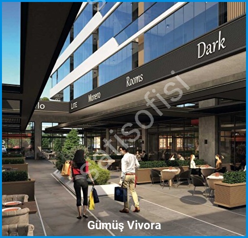 Gümüş Vivora - Proje Görseli 8