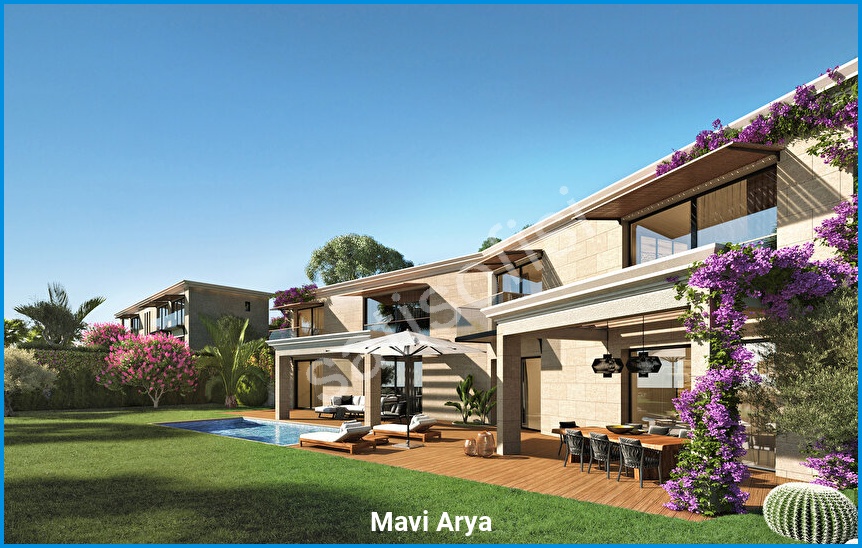 Mavi Arya