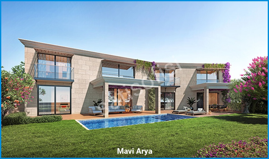 Mavi Arya görsel 3