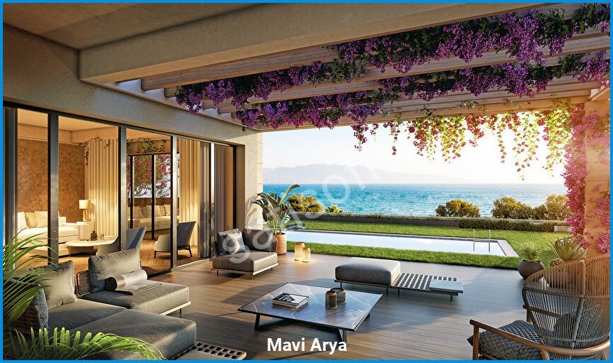Mavi Arya görsel 5