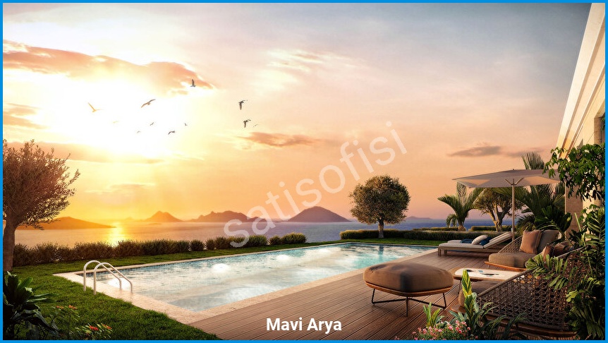 Mavi Arya görsel 6