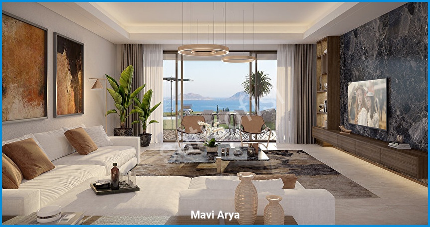 Mavi Arya görsel 8