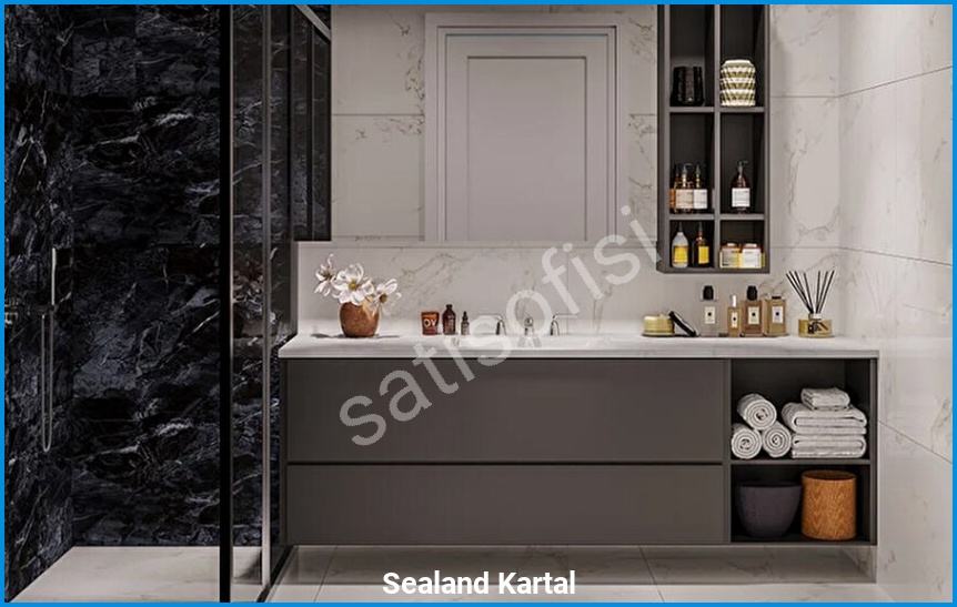 Sealand Kartal 6