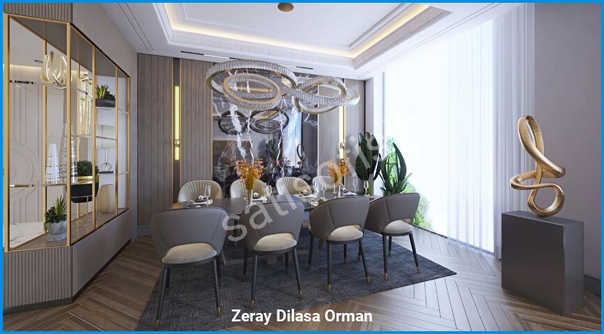 Zeray Dilasa Orman 11