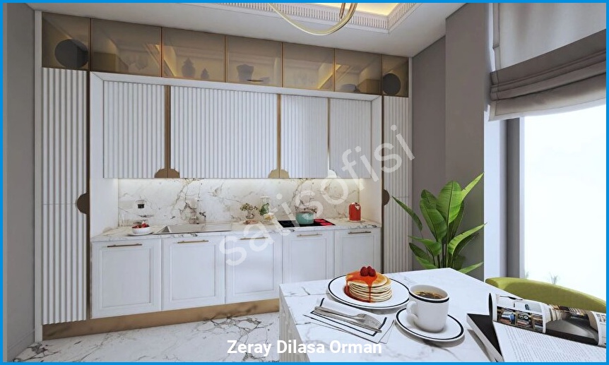 Zeray Dilasa Orman 14