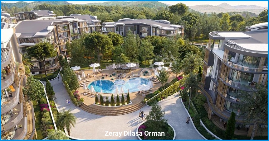 Zeray Dilasa Orman 3